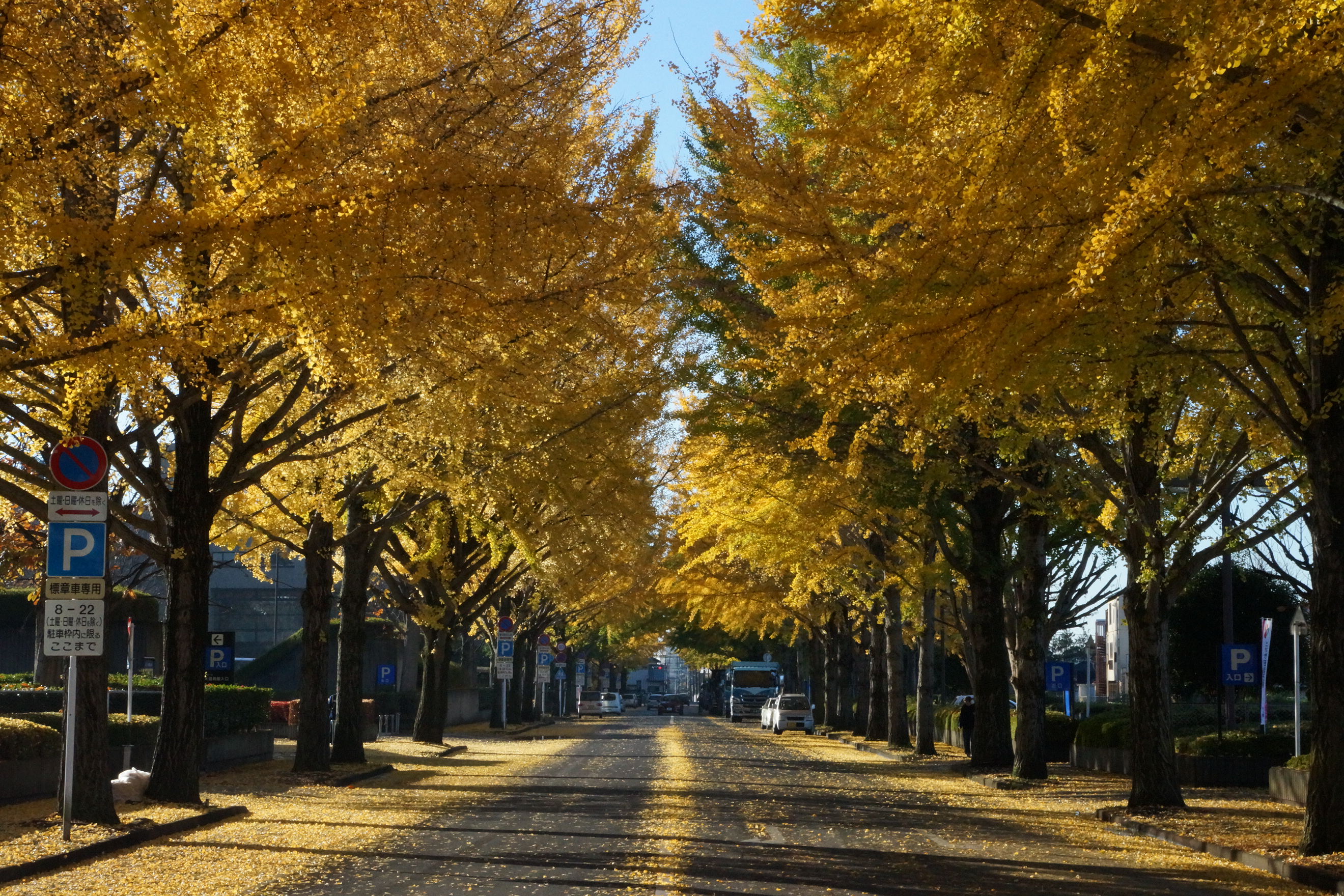 【相談無料】宇都宮市で平屋の売却なら、ライト不動産にお任せ！