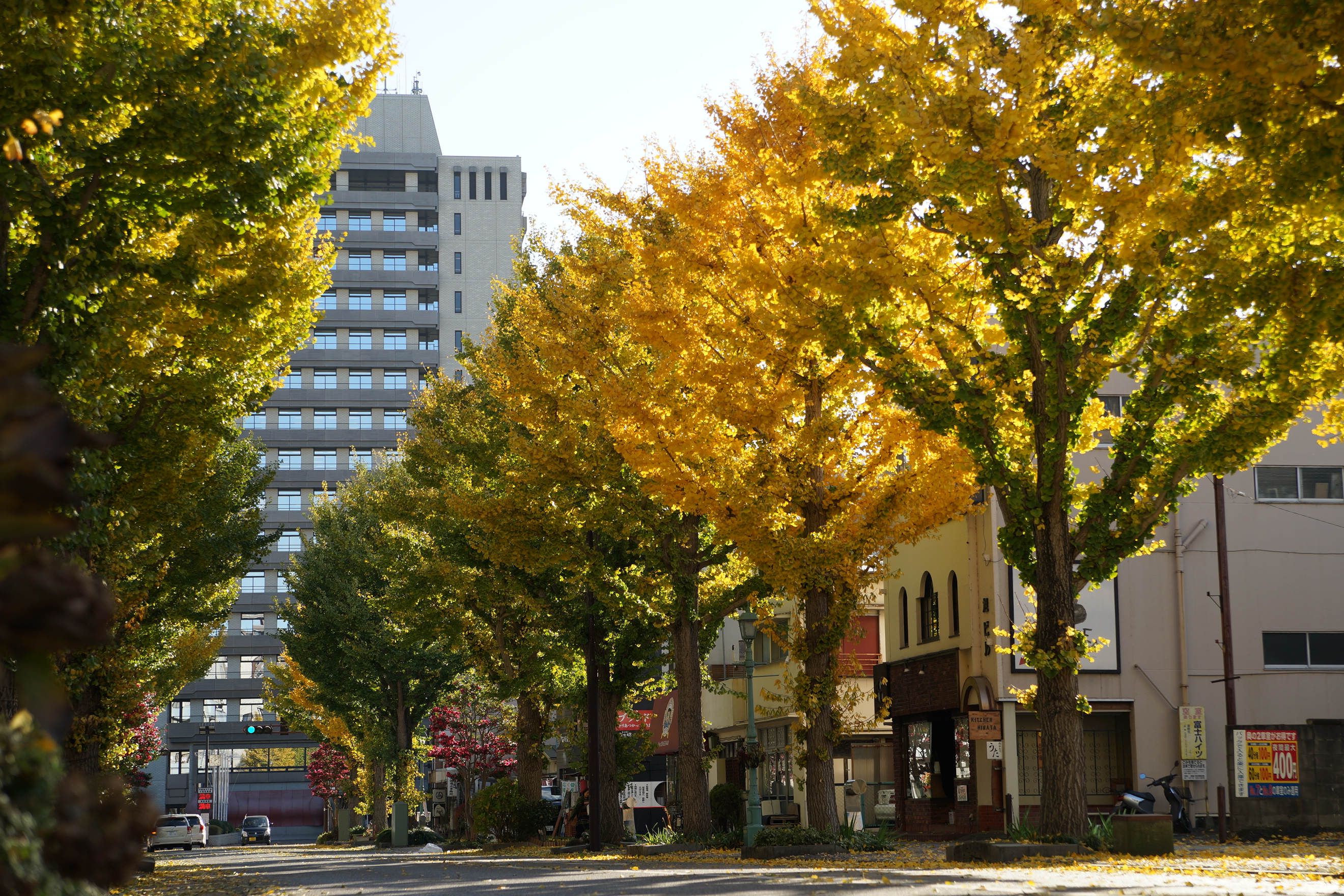 【不動産相続について】スムーズな手続きで大切な資産を守る。宇都宮市の不動産のことならライト不動産にお任せください。